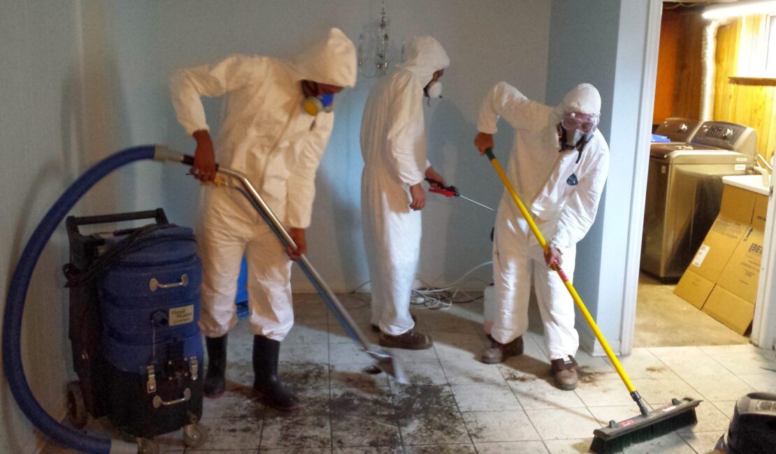 basement flooded who to call