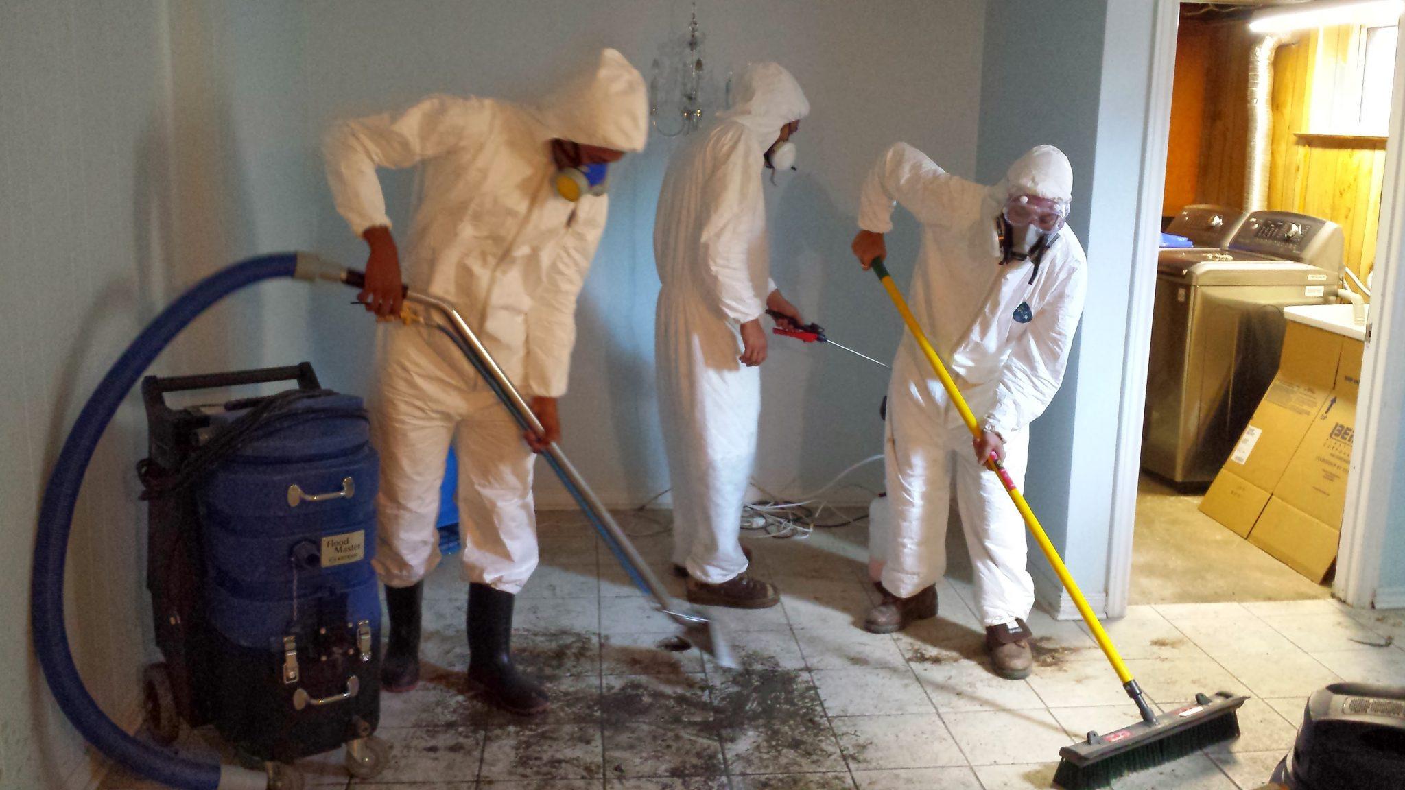 basement flooded who to call