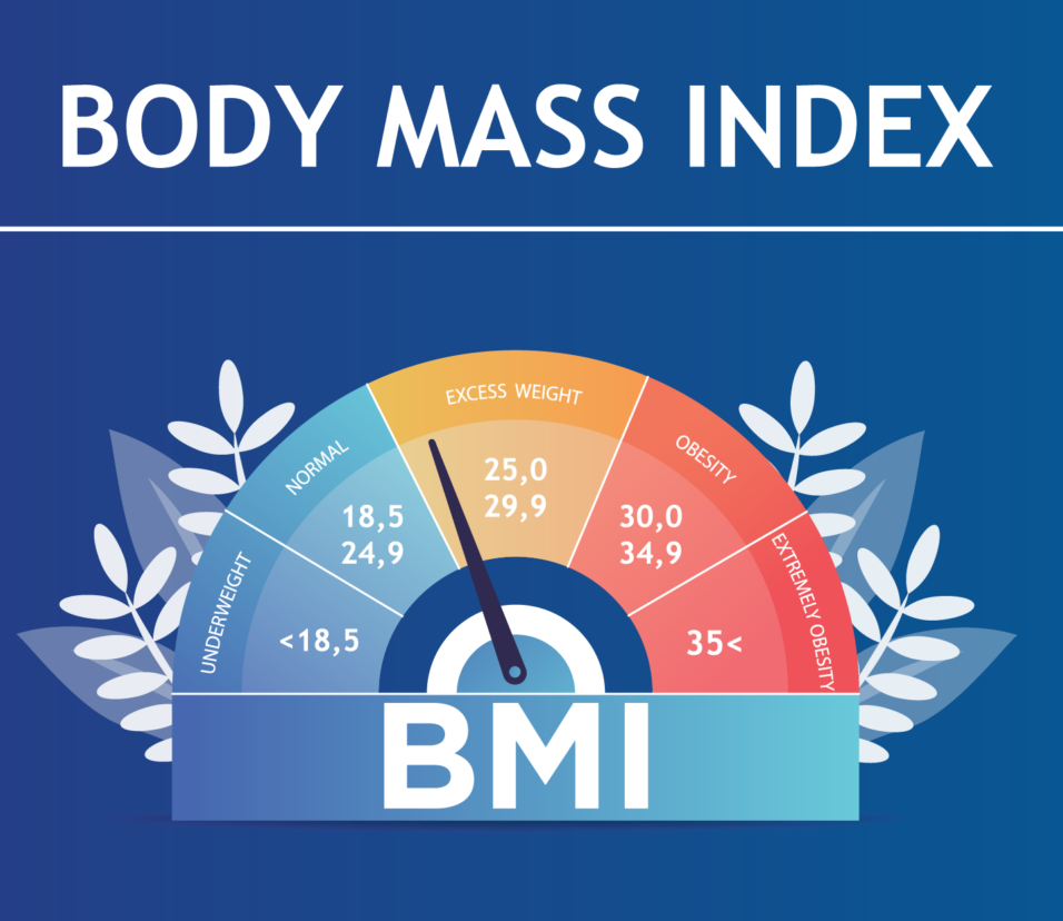 Body Mass Calculator Male