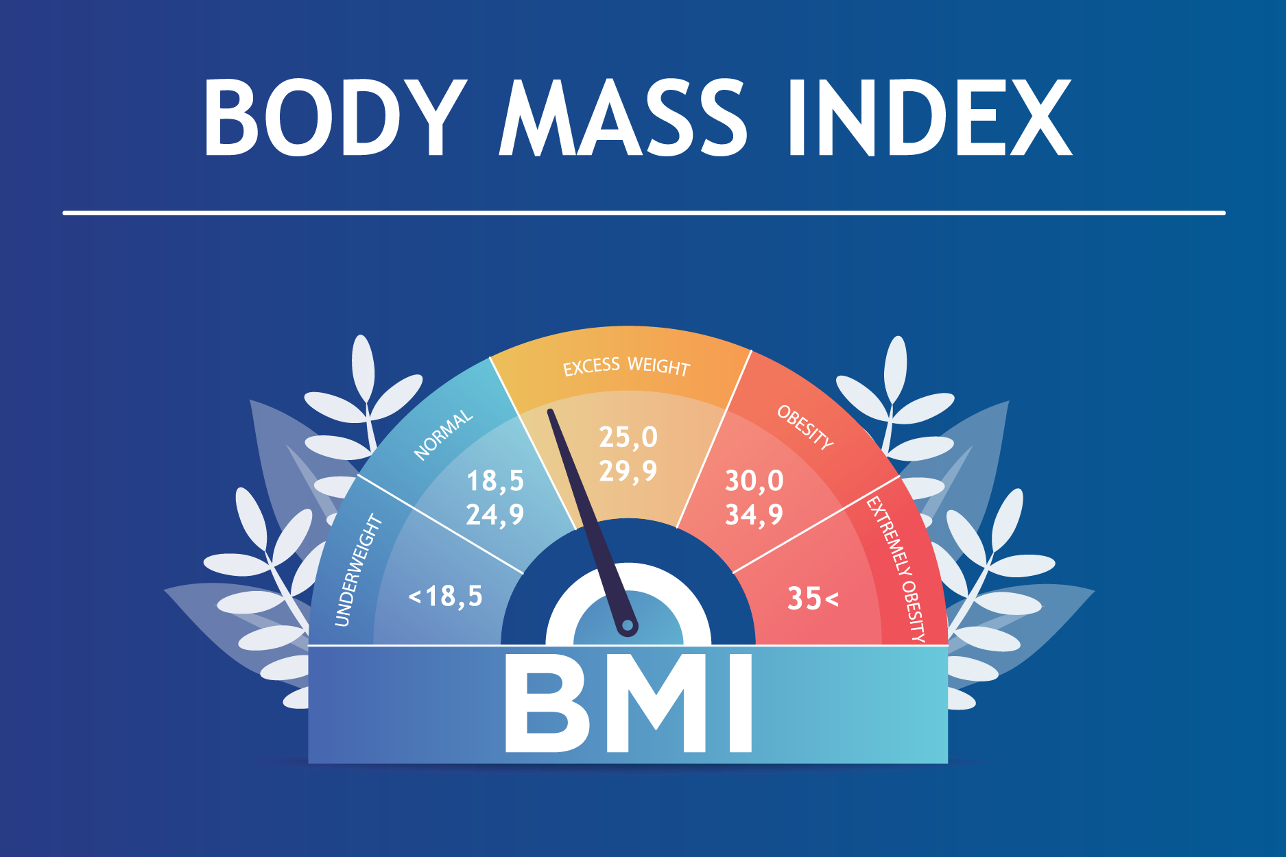 Body Mass Calculator Male