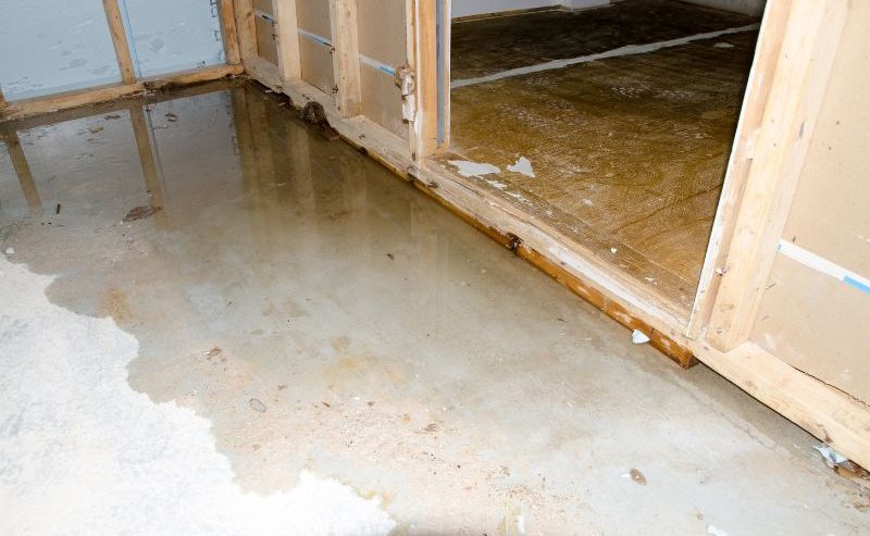 basement flooded who to call