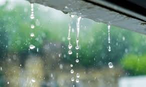 water remediation Vaughen