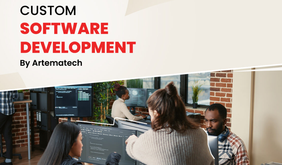 Custom software development