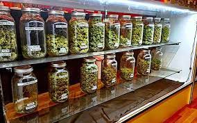 Dispensary in Massachusetts