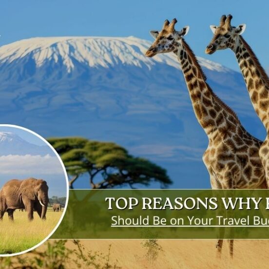 Kenya Tour Package | International Tour Packages