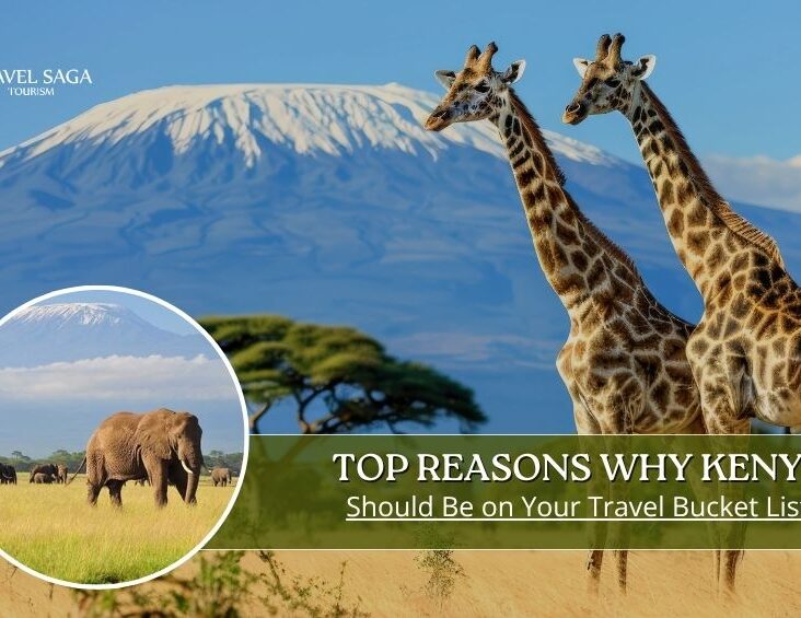 Kenya Tour Package | International Tour Packages