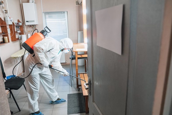 Surrey Pest Control