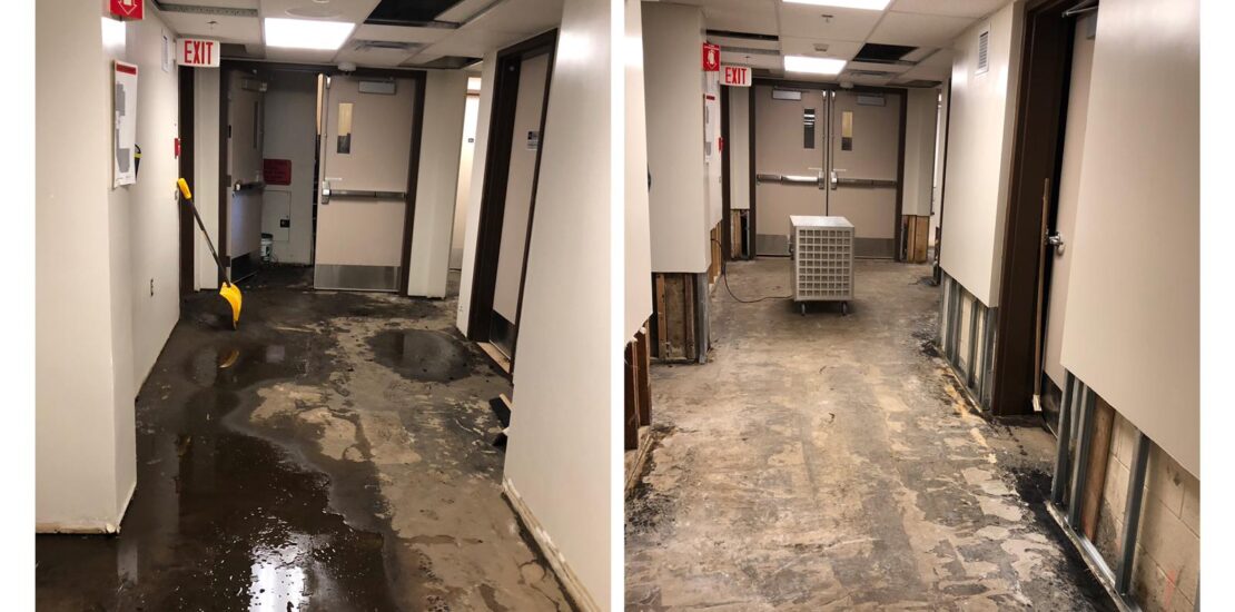 water remediation Edmonton