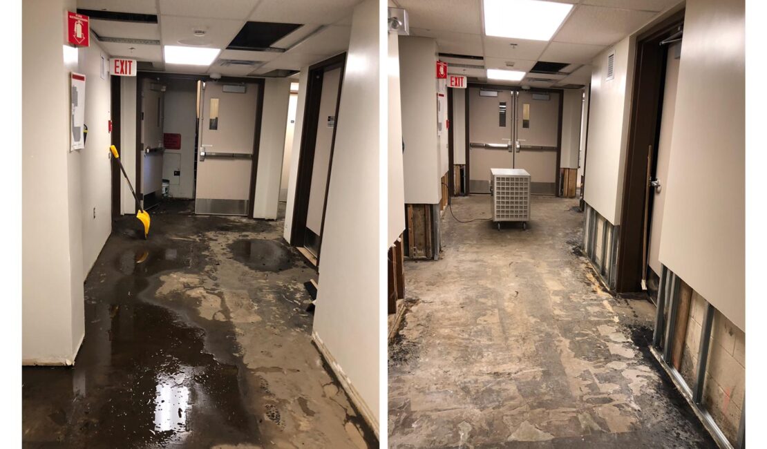 water remediation Edmonton