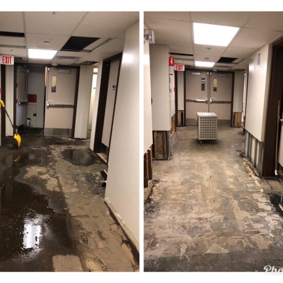 water remediation Edmonton