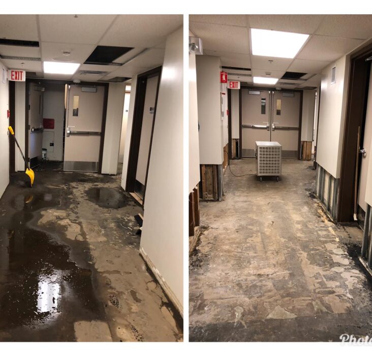 water remediation Edmonton