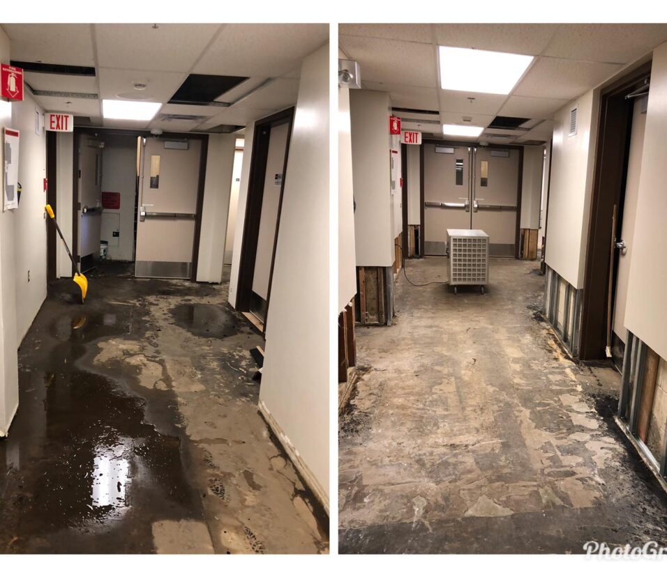 water remediation Edmonton