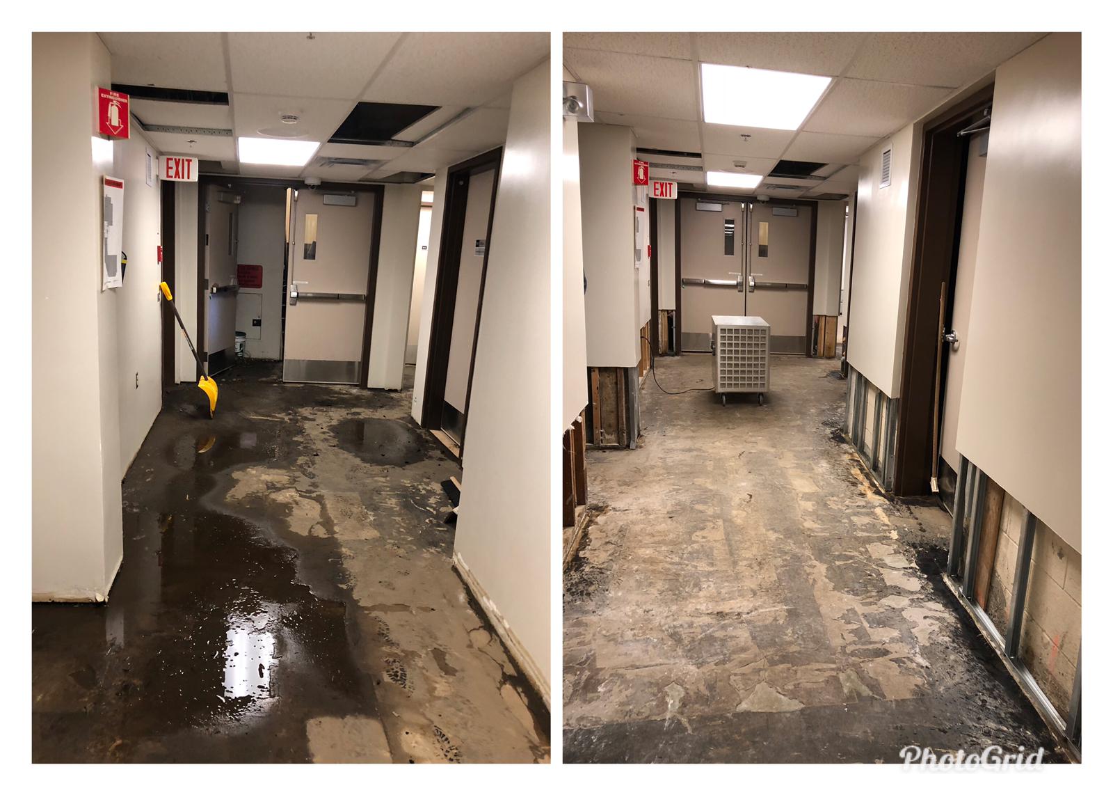 water remediation Edmonton