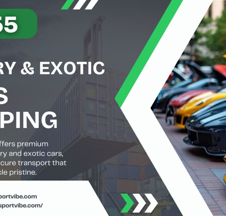 Seasonal relocation car shipping guide