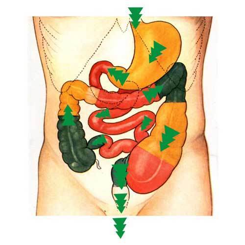 Panchakarma Treatments at home in Mumbai