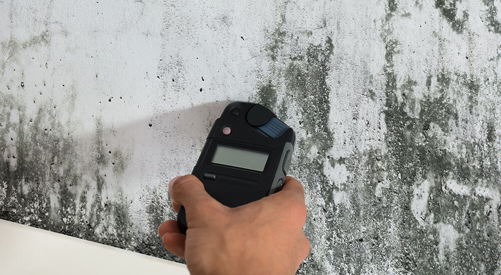 Mold Inspection Atlanta