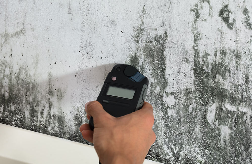 Mold Inspection Atlanta
