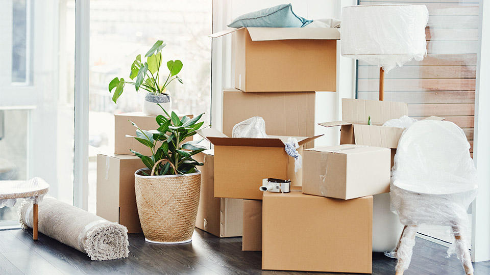 Packing Services St Petersburg