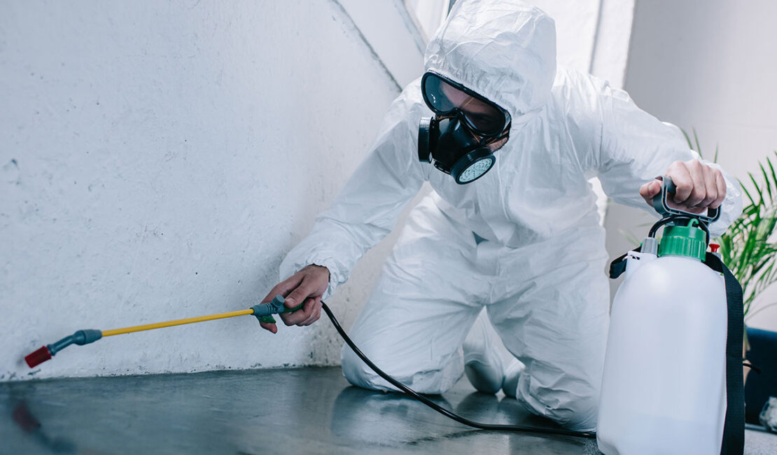 Pest Control Solutions Cleveland