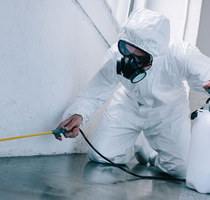 Pest Control Solutions Cleveland