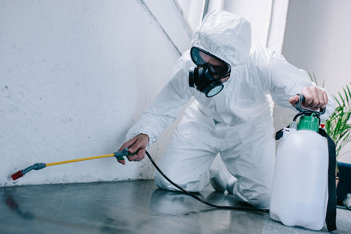 Pest Control Solutions Cleveland