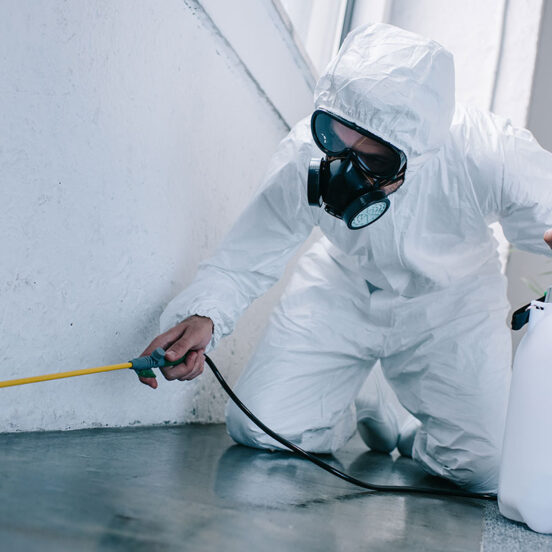 Pest Control Solutions Cleveland