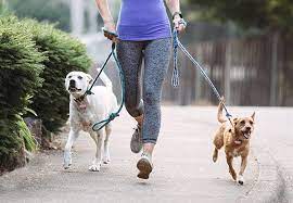 Dog Walking