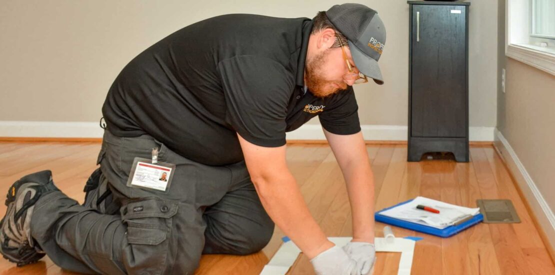 Pre Renovation Lead Testing Washington