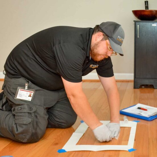 Pre Renovation Lead Testing Washington