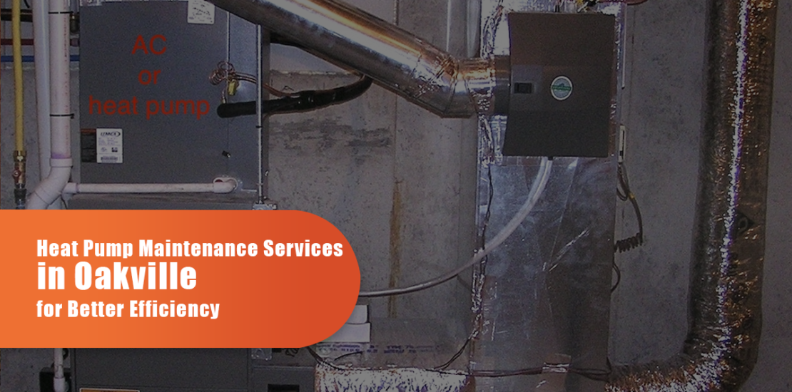 Expert Heat Pump Installation and Maintenance Services