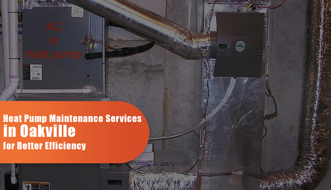 Expert Heat Pump Installation and Maintenance Services