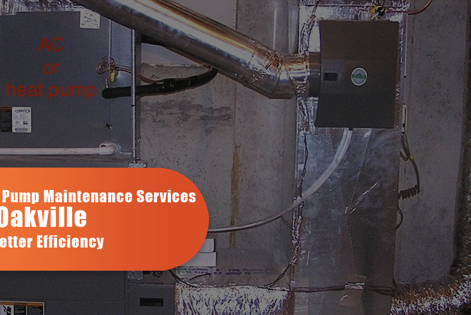 Expert Heat Pump Installation and Maintenance Services