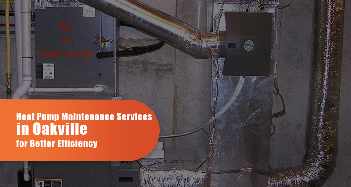 Expert Heat Pump Installation and Maintenance Services
